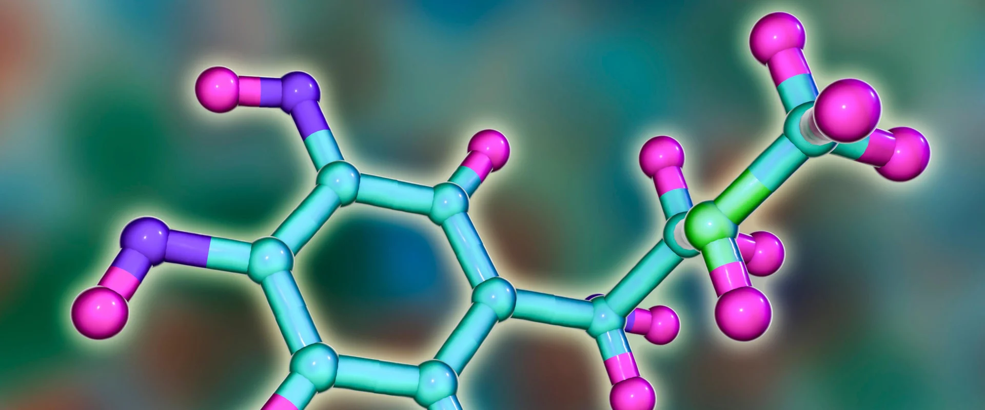 166-Hormonology