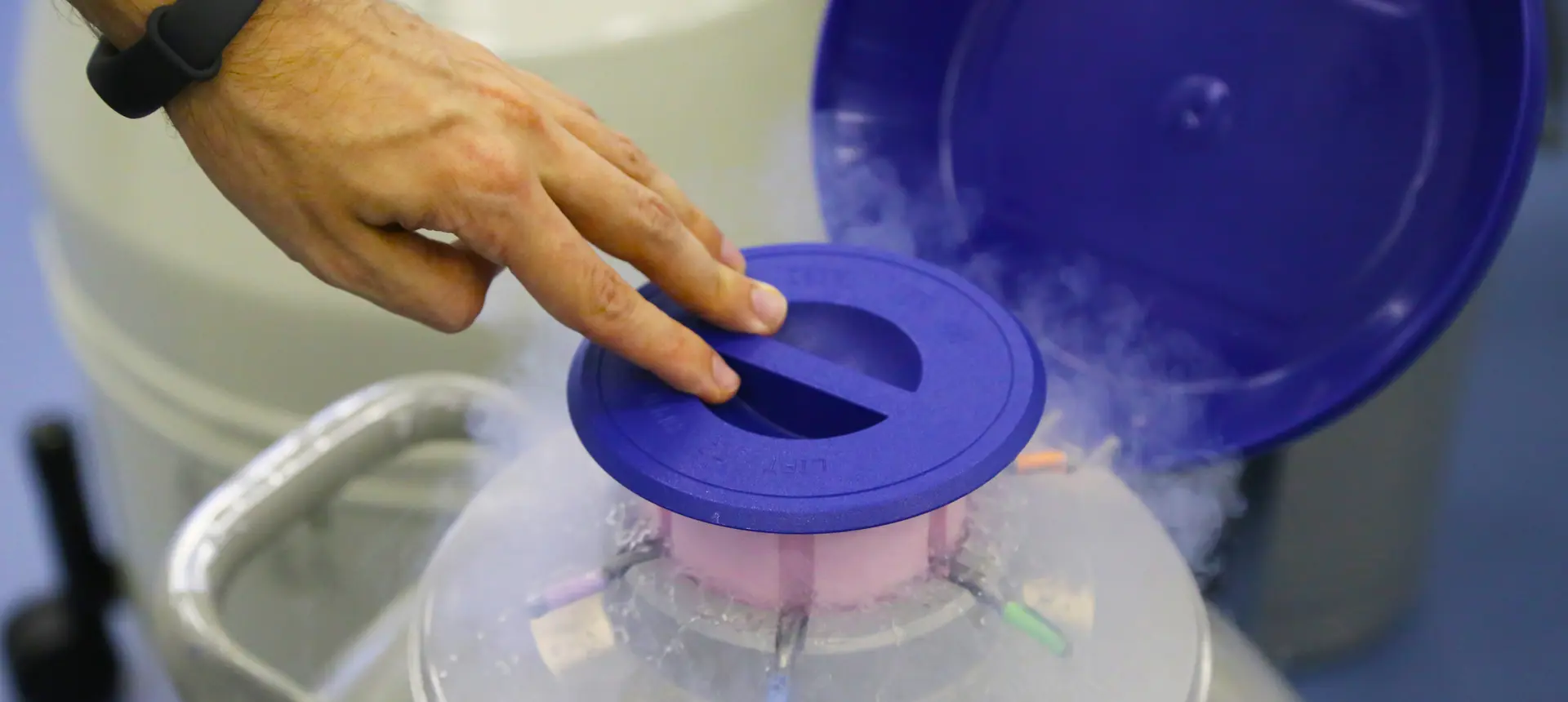 Technique de vitrification en procréation médicalement assistée chez IRIFIV Casablanca